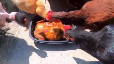 Cursed_Hen