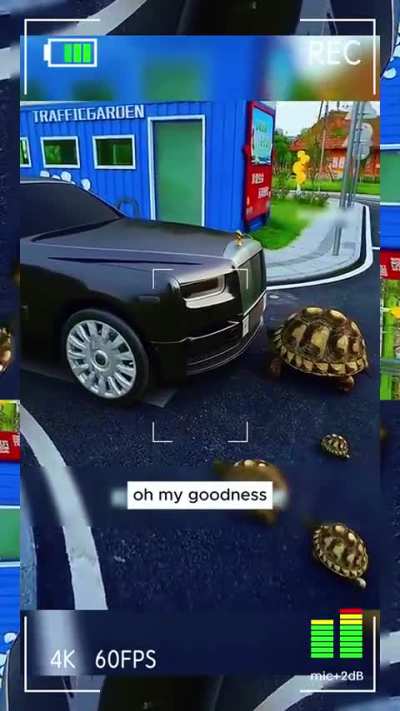 the little turtles are trying to get revenge
