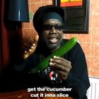 Cucumbah
