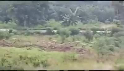IED attack on Cameroonian vehicle by Ambazonian separatists