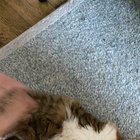 Playing with fire