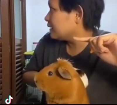 o_o