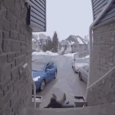 Watch Your Steps