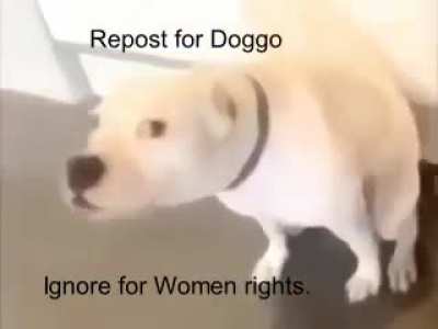Dod