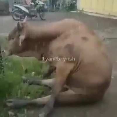 sad