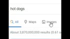 Dog goes on the internet