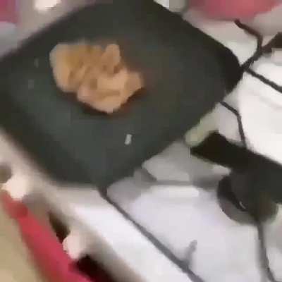 ªªª