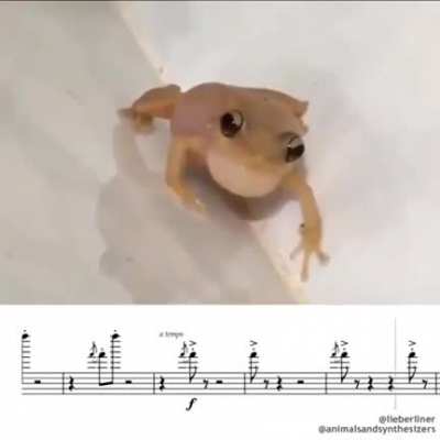 bi🎵irl