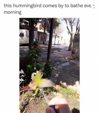 Morning, Jim!