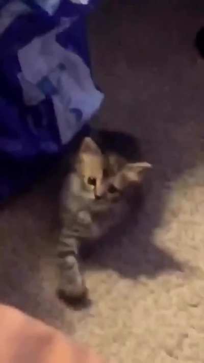 No you come here