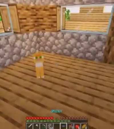 What the cat doin?