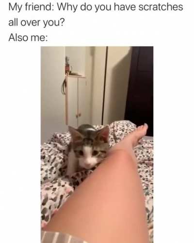 What are you doing?