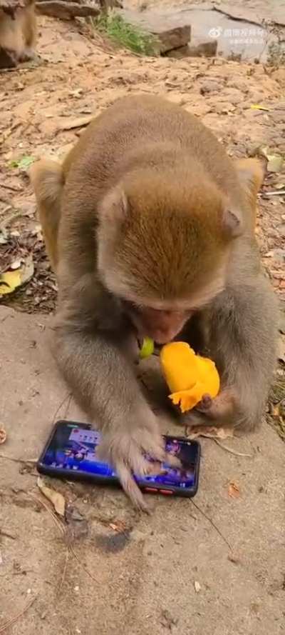 Guangxi gamer