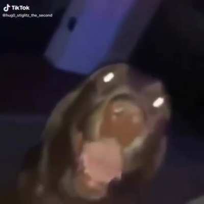 Scooby Snack