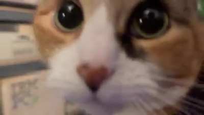 Me: 