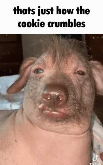 that one cannibal seeing his entire family be visicously executed by a group of armed men.