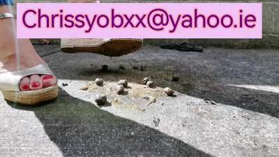 Wedges crush snails