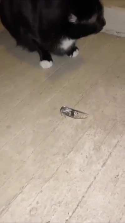 Let me just touch it