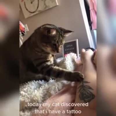 WTF?