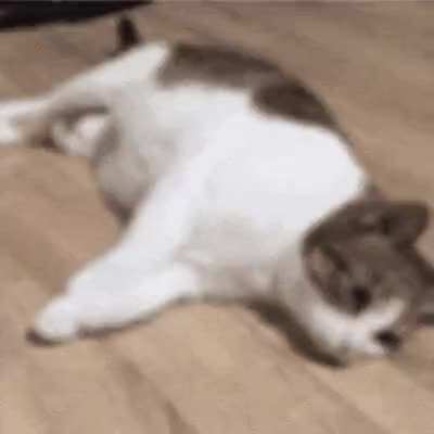 Sup, me rn