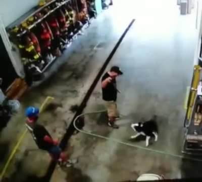 Did someone say hose??!!