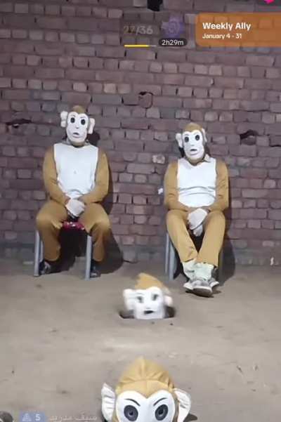 cursed_tiktoklive