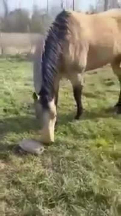 I don't know what it is, you take a look...