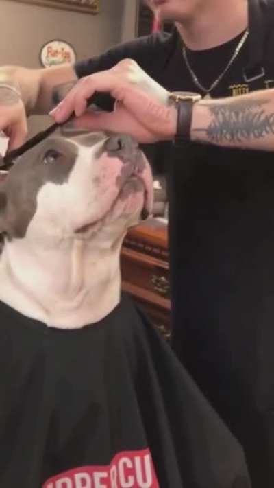 Woof irl