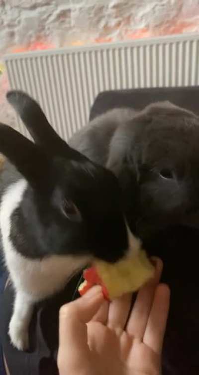 Apple lovers