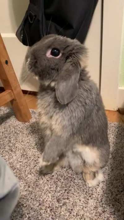 What’s up?