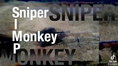 Simp