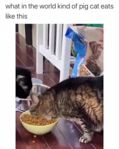 Chonks