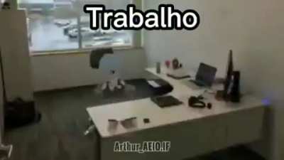 O final...