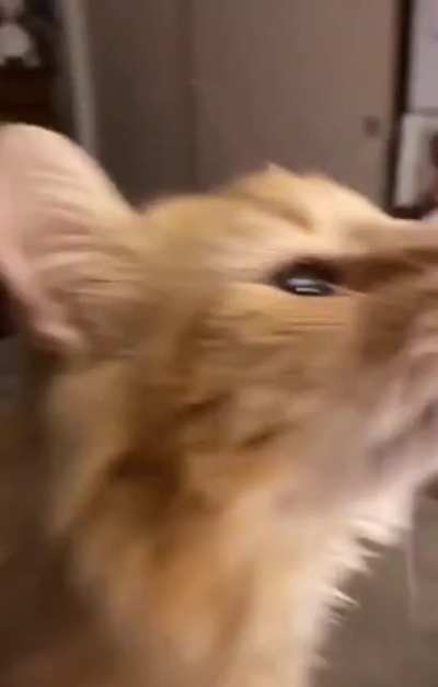 Can I get some?
