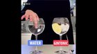 Increlible sonido del gintonic