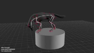 Good boy helps with motion capturing canine movements for a student project