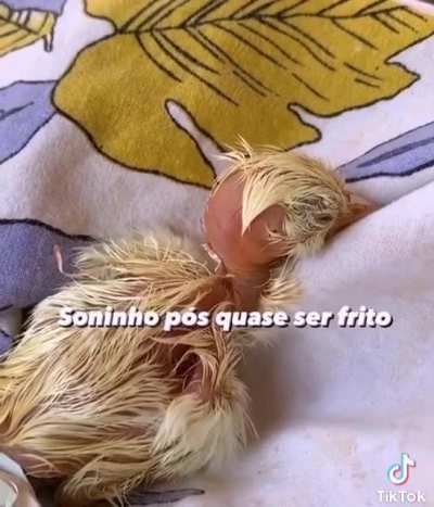 Omelete 😍