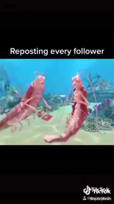 POPCORN SHRIMP
