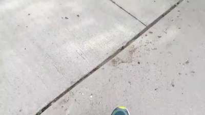 How this guy deals with kids biking on his drive