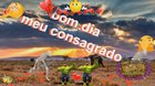 Bom dia