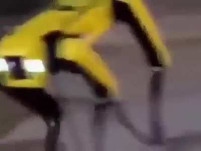 Dylan, no veas esta wea en un video