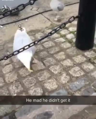 How dare you?