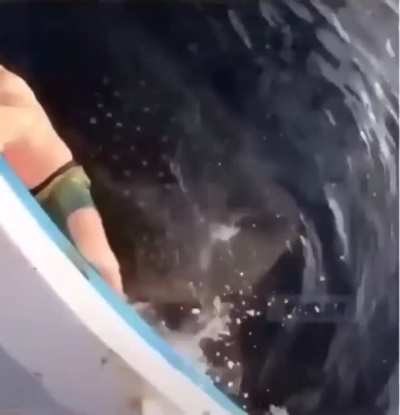 Друзья ни когда не оставят без поддержки