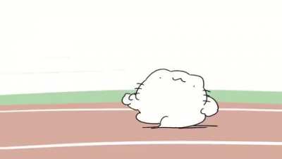 A Cat Race