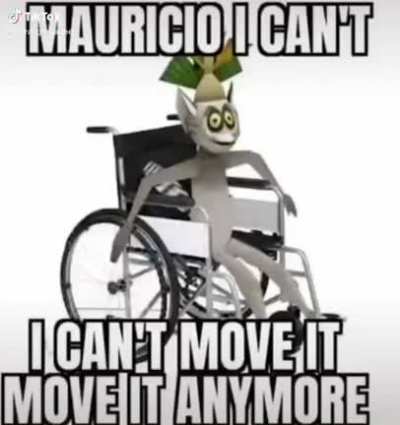 xd