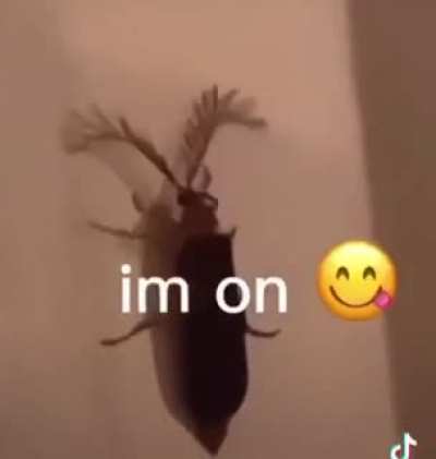Who even talks like that