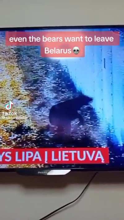 He got tired of the GDL=Belarus BS