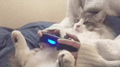 Me and my boy spending time together?