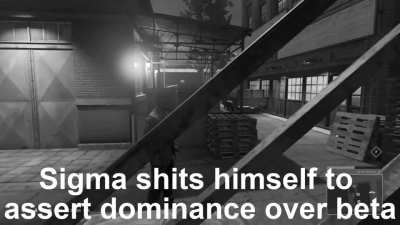 sigma gamer