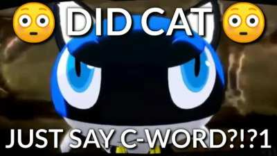kitty n0!! 1!1!